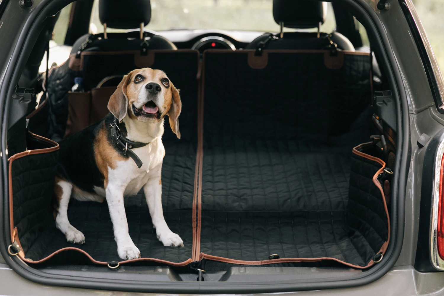 Yorkshire Terriers back seat cover for Toyota Tundra