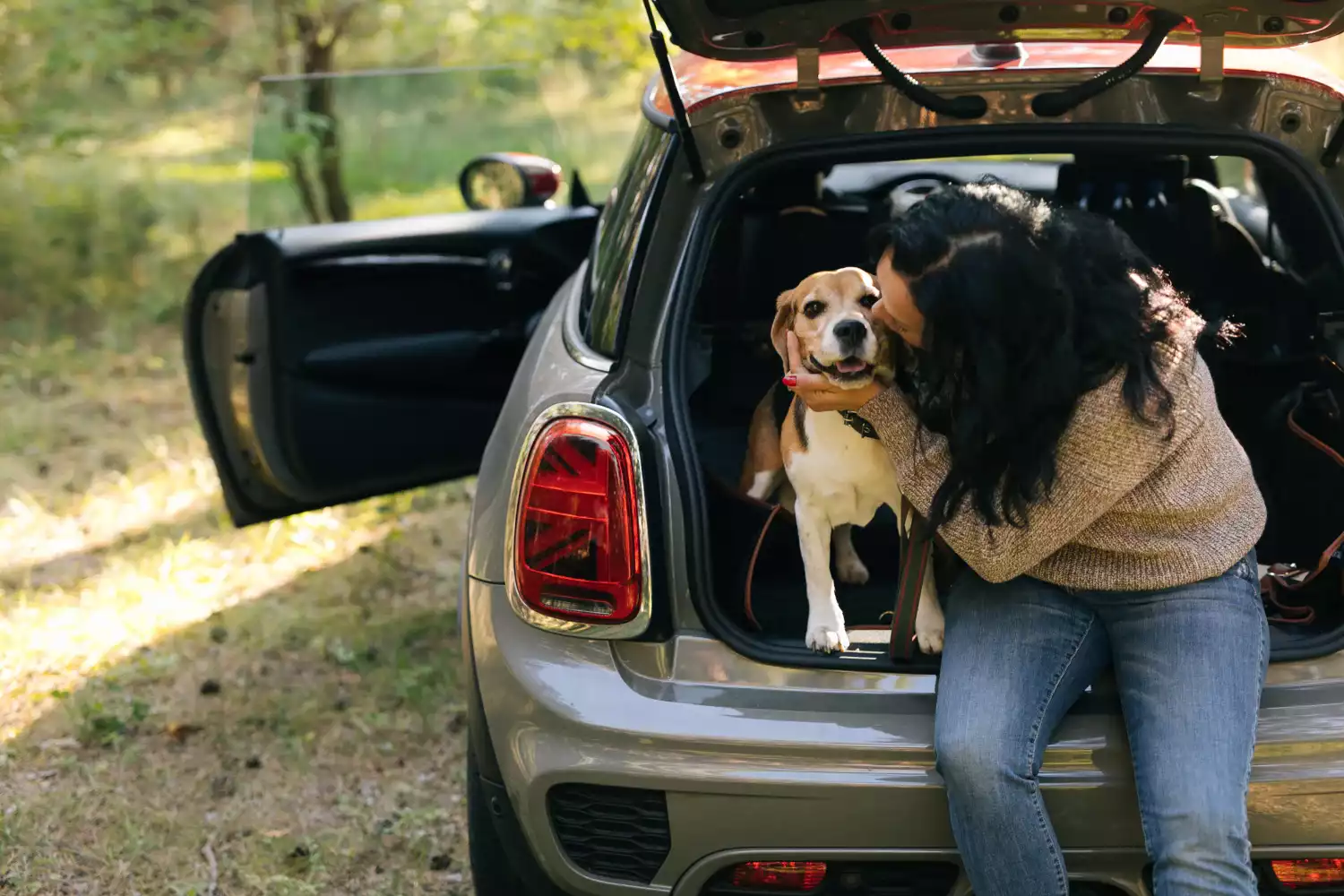 pet seat cover for Toyota Prius