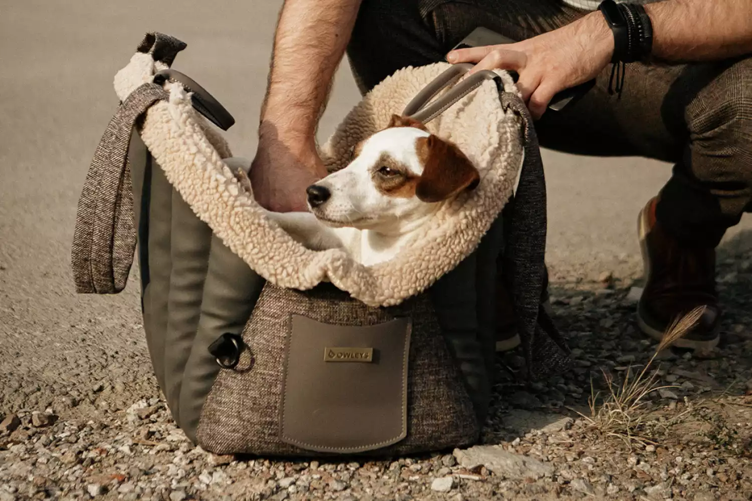 Cavalier King Charles Spaniel Dog Carrier Car Seat for Chevrolet Colorado