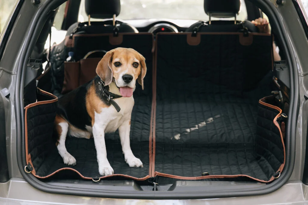 Mastiffs back seat cover for Dodge Challenger