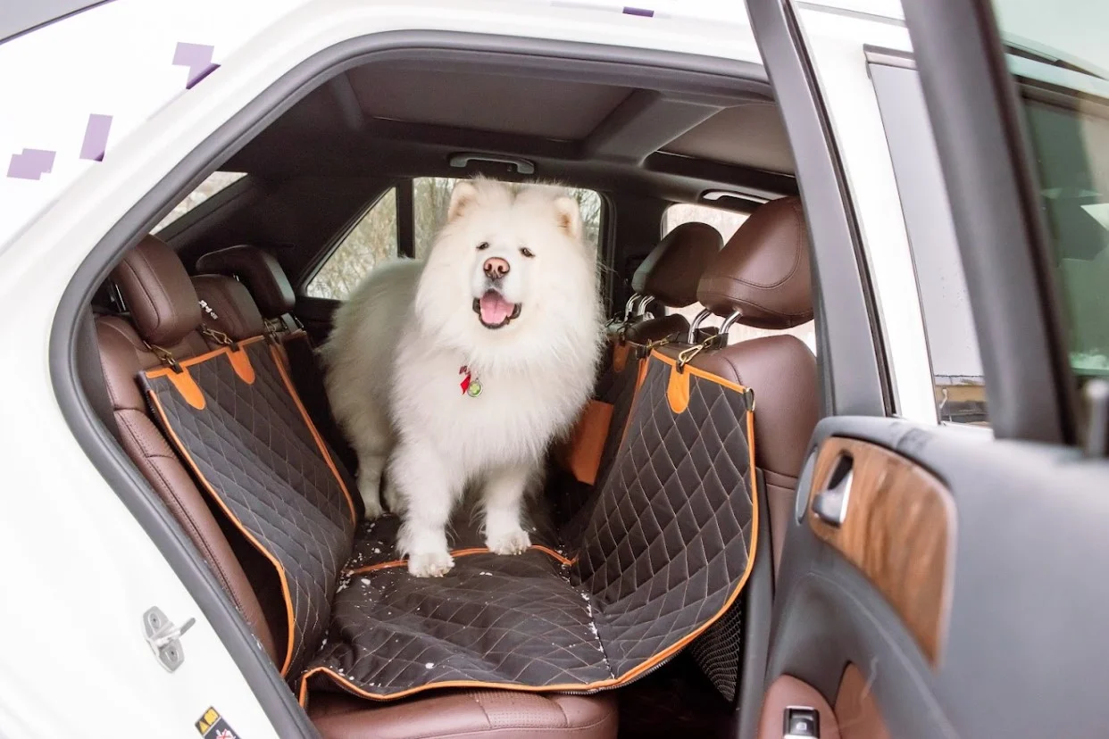 pet seat cover for Toyota Prius